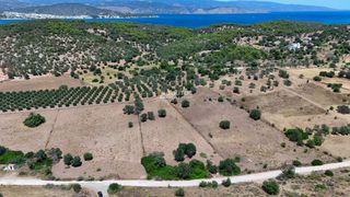 Αγροτεμάχια 4.020 τ.μ. προς πώληση, Κινέτα Ερμιόνης-thumb-19