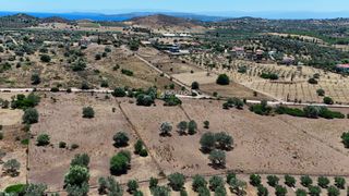 Αγροτεμάχια 4.020 τ.μ. προς πώληση, Κινέτα Ερμιόνης-thumb-10