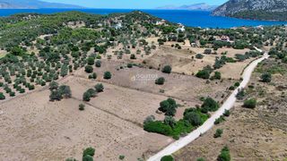 Αγροτεμάχια 4.020 τ.μ. προς πώληση, Κινέτα Ερμιόνης-thumb-17