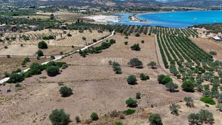 Αγροτεμάχια 4.020 τ.μ. προς πώληση, Κινέτα Ερμιόνης-thumb-8