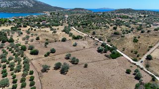 Αγροτεμάχια 4.020 τ.μ. προς πώληση, Κινέτα Ερμιόνης-thumb-12