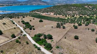 Αγροτεμάχια 4.020 τ.μ. προς πώληση, Κινέτα Ερμιόνης-thumb-5