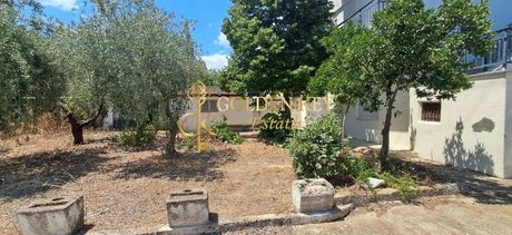 Μονοκατοικία 200τ.μ. για πώληση-Ελευθερές » Ελαιοχώρι