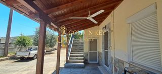 Μονοκατοικία 200 τ.μ. για πώληση, Ν. Καβάλας, Ελευθερές-thumb-13