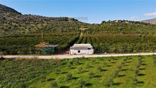 Αγροτεμάχια 62.000 τ.μ. προς πώληση, Ερμιόνη-thumb-15