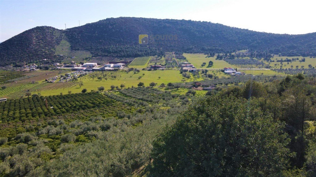 Αγροτεμάχια 62.000 τ.μ. προς πώληση, Ερμιόνη
