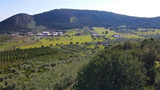 Αγροτεμάχια 62.000 τ.μ. προς πώληση, Ερμιόνη-thumb-2