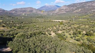 Αγροτεμάχια 62.000 τ.μ. προς πώληση, Ερμιόνη-thumb-25