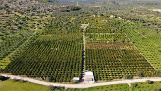 Αγροτεμάχια 62.000 τ.μ. προς πώληση, Ερμιόνη-thumb-17