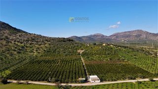 Αγροτεμάχια 62.000 τ.μ. προς πώληση, Ερμιόνη-thumb-16
