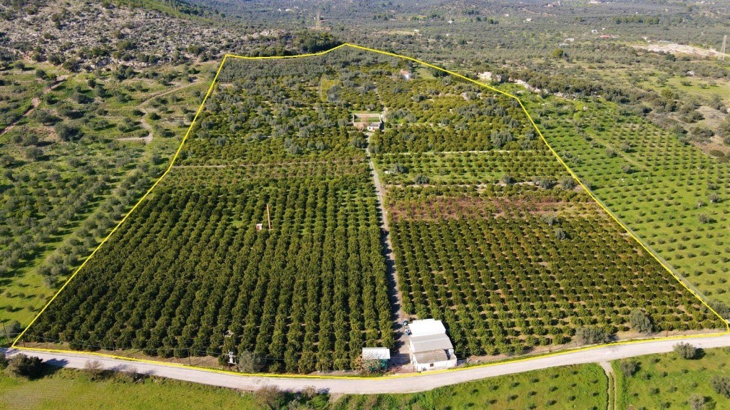 Αγροτεμάχια 62.000 τ.μ. προς πώληση, Ερμιόνη