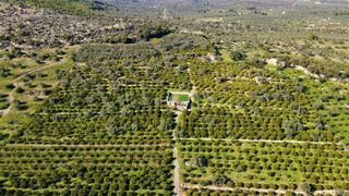 Αγροτεμάχια 62.000 τ.μ. προς πώληση, Ερμιόνη-thumb-19
