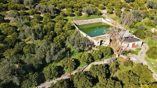 Αγροτεμάχια 62.000 τ.μ. προς πώληση, Ερμιόνη-thumb-7