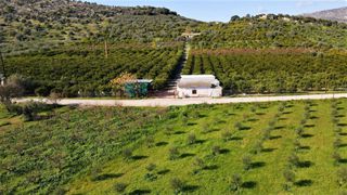Αγροτεμάχια 62.000 τ.μ. προς πώληση, Ερμιόνη-thumb-14