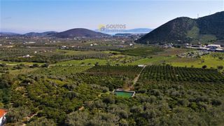 Αγροτεμάχια 62.000 τ.μ. προς πώληση, Ερμιόνη-thumb-3