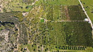 Αγροτεμάχια 62.000 τ.μ. προς πώληση, Ερμιόνη-thumb-5