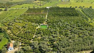 Αγροτεμάχια 62.000 τ.μ. προς πώληση, Ερμιόνη-thumb-21