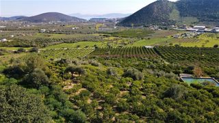 Αγροτεμάχια 62.000 τ.μ. προς πώληση, Ερμιόνη-thumb-12