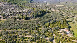 Αγροτεμάχια 62.000 τ.μ. προς πώληση, Ερμιόνη-thumb-20