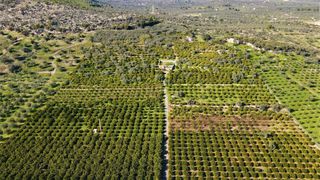 Αγροτεμάχια 62.000 τ.μ. προς πώληση, Ερμιόνη-thumb-18