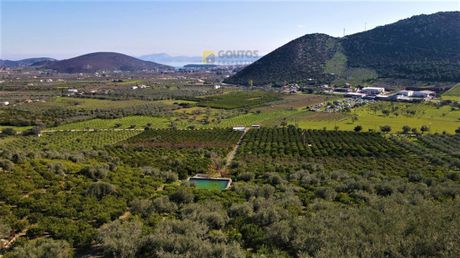 Αγροτεμάχια 62.000τ.μ. για πώληση-Ερμιόνη