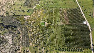 Αγροτεμάχια 62.000 τ.μ. προς πώληση, Ερμιόνη-thumb-4