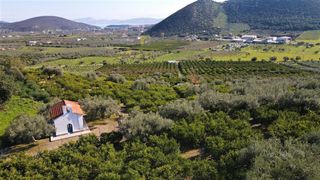 Αγροτεμάχια 62.000 τ.μ. προς πώληση, Ερμιόνη-thumb-13