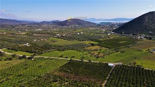 Αγροτεμάχια 62.000 τ.μ. προς πώληση, Ερμιόνη-thumb-23
