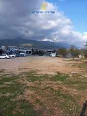 Οικόπεδο 1.000 τ.μ. για πώληση
