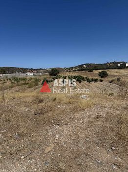 Αγροτεμάχια 3.000τ.μ. για πώληση-Κερατέα