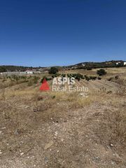 Αγροτεμάχια 3.000 τ.μ. για πώληση