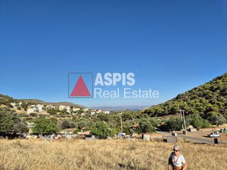 Οικόπεδο 5.258 τ.μ. για πώληση, Αττική - Υπόλοιπο, Κερατέα-thumb-3