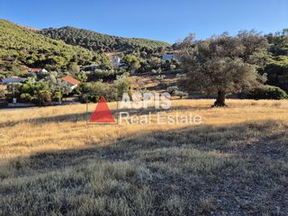 Οικόπεδο 5.258 τ.μ. για πώληση, Αττική - Υπόλοιπο, Κερατέα-thumb-5