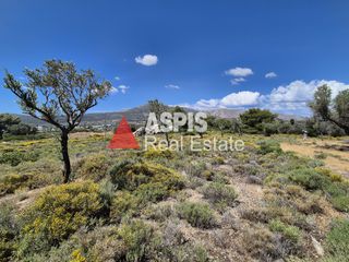 Αγροτεμάχια 7.200 τ.μ. για πώληση, Αττική - Υπόλοιπο, Κερατέα-thumb-7