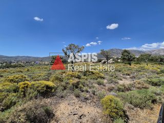 Αγροτεμάχια 7.200 τ.μ. για πώληση, Αττική - Υπόλοιπο, Κερατέα-thumb-6