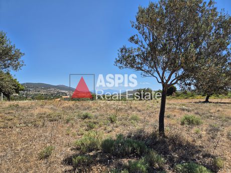 Αγροτεμάχια 7.200τ.μ. για πώληση-Κερατέα