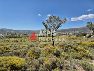 Αγροτεμάχια 7.200 τ.μ. για πώληση, Αττική - Υπόλοιπο, Κερατέα-thumb-5