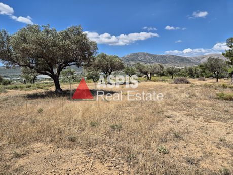 Αγροτεμάχια 8.600τ.μ. για πώληση-Κερατέα