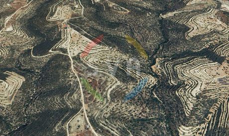 Αγροτεμάχια 7.358τ.μ. για πώληση-