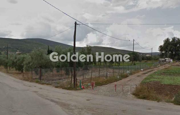 Οικόπεδο 3.150 τ.μ. πρός πώληση, Αθήνα - Ανατολικά Προάστια, Γραμματικό