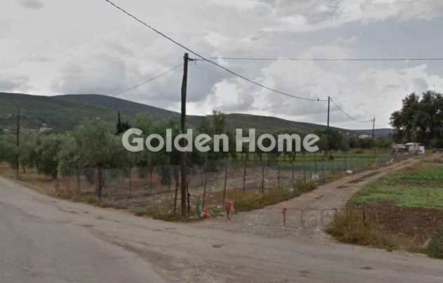 Οικόπεδο 3.150 τ.μ. πρός πώληση