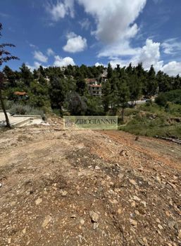 Οικόπεδο 1.225τ.μ. για πώληση-Διόνυσος
