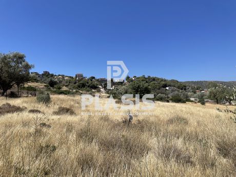 Αγροτεμάχια 5.700τ.μ. για πώληση-Κορωπί