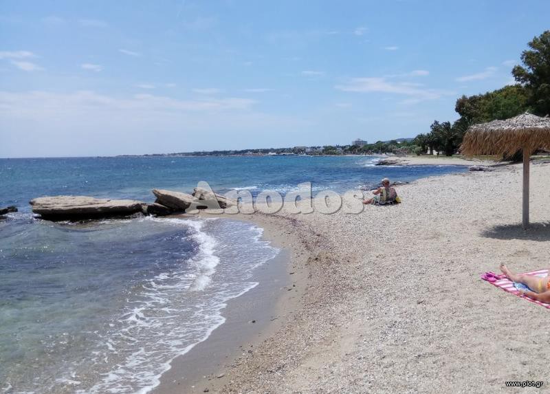 Αέρας 1.205 τ.μ. πρός πώληση, Αθήνα - Ανατολικά Προάστια, Νέα Μάκρη