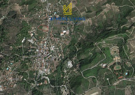 Οικόπεδο 8.692,45τ.μ. για πώληση-Αρχαία ολυμπία