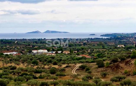 Οικόπεδο 105.000τ.μ. για πώληση-Κρανίδι