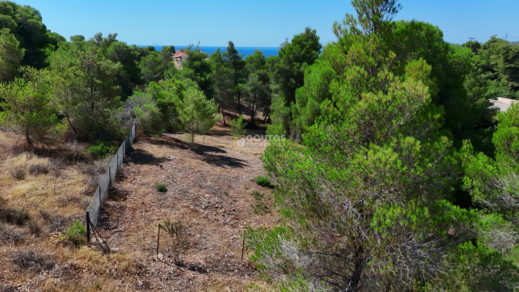 Οικόπεδο 1.080 τ.μ. προς πώληση, Αργολίδα, Κρανίδι