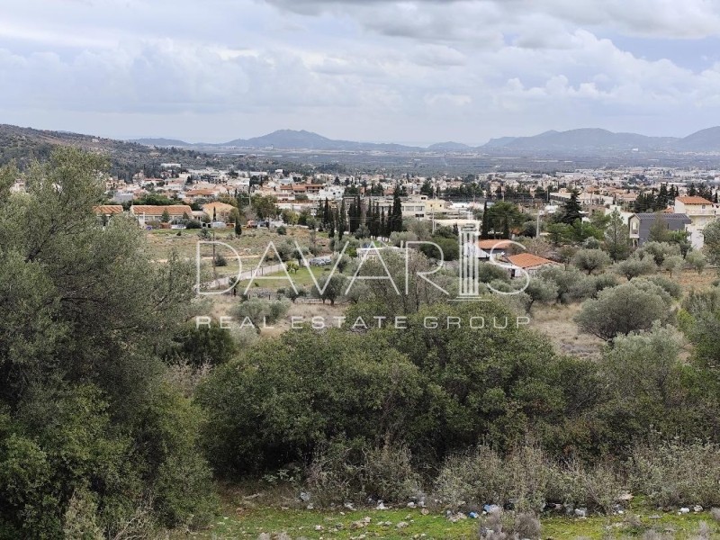 Οικόπεδο 600 τ.μ. πρός πώληση, Αθήνα - Ανατολικά Προάστια, Παιανία