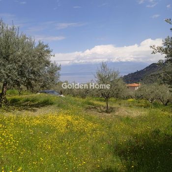 Αγροτεμάχια 720 τ.μ. για πώληση