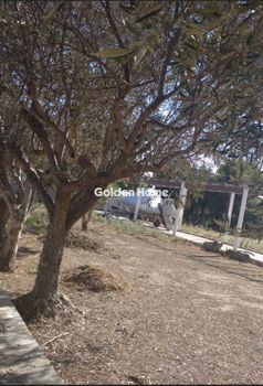 Land plot 540sqm for sale-Palaia Fokaia » Κέντρο